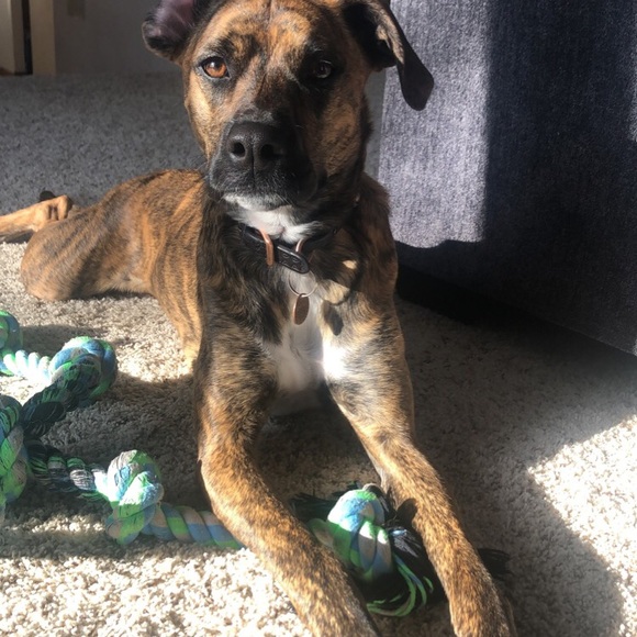 Meet your Posher, Allison - Picture 3 of 3